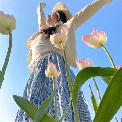 混沌之龙：赤龙战役