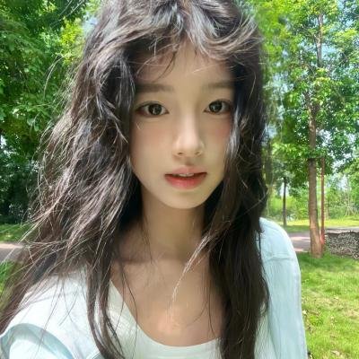 与凤飞